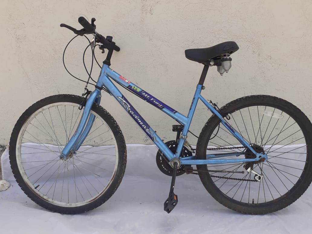 Roadmaster Mt. Fury