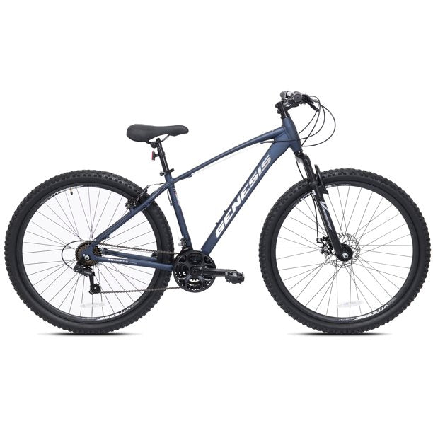 Genesis 29